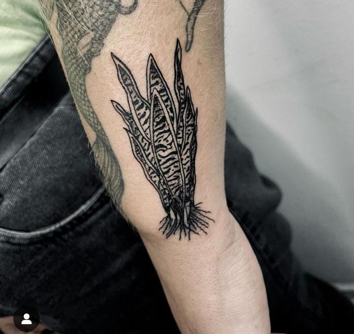 Imagem do tatuador